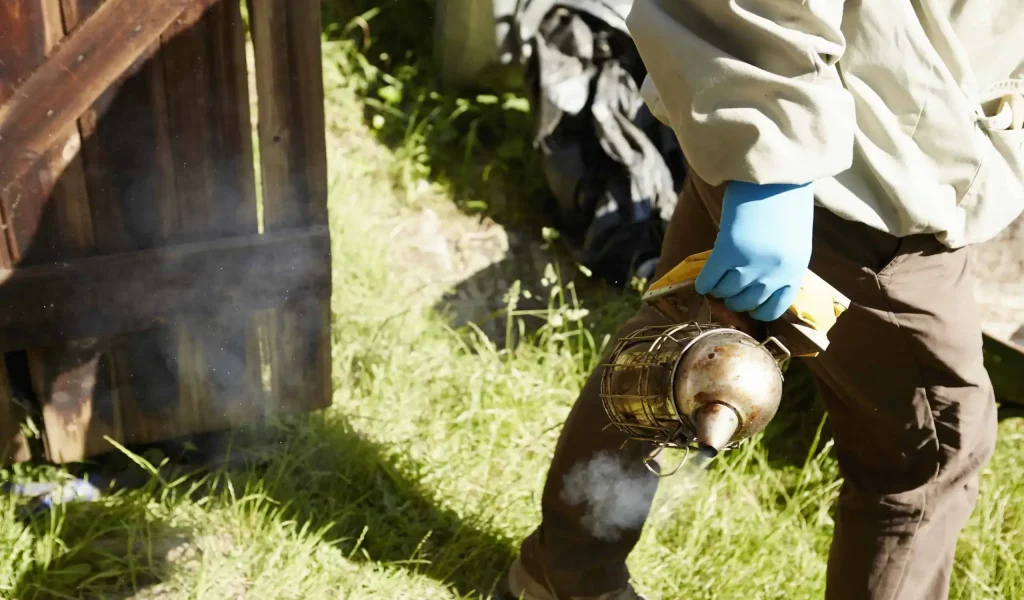 a-beekeeper-in-a-beesuit-holding-a-smoker-on-an-a-2026-01-09-08-42-24-utc