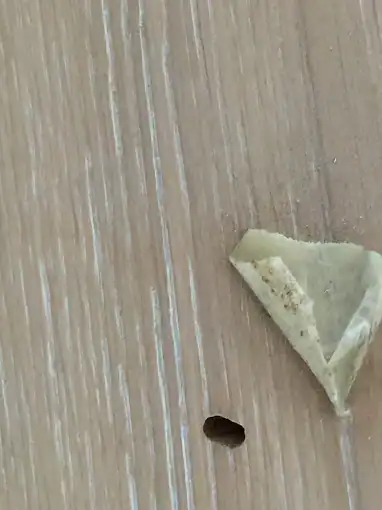 Huiszwam bestrijden: De sluipmoordenaar van uw houten vloer