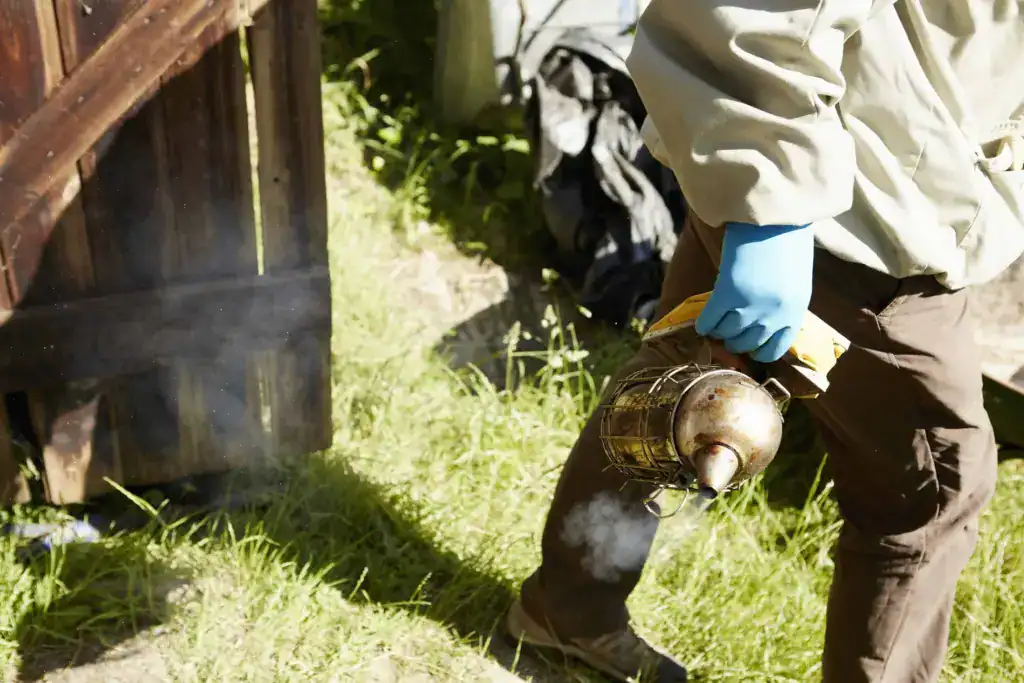 Wespennest verwijderen Groningen: Wanneer is het gevaarlijk?